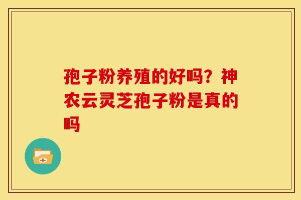 孢子粉养殖的好吗?神农云灵芝孢子粉是真的吗