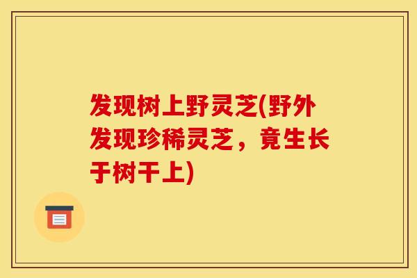 发现树上野灵芝(野外发现珍稀灵芝,竟生长于树干上)