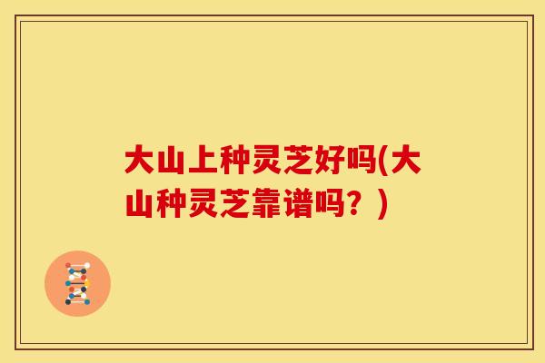 大山上种灵芝好吗(大山种灵芝靠谱吗?)