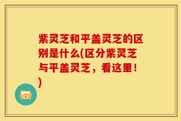 紫灵芝和平盖灵芝的区别是什么(区分紫灵芝与平盖灵芝,看这里!)