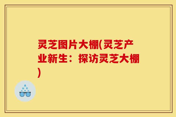 灵芝图片大棚(灵芝产业新生:探访灵芝大棚)