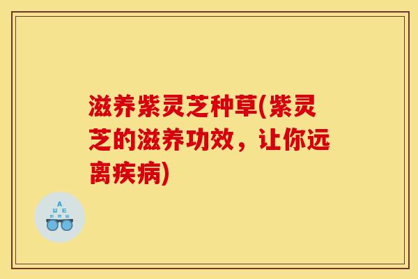 滋养紫灵芝种草(紫灵芝的滋养功效,让你远离疾病)