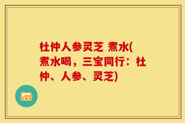 杜仲人参灵芝 煮水(煮水喝,三宝同行:杜仲、人参、灵芝)