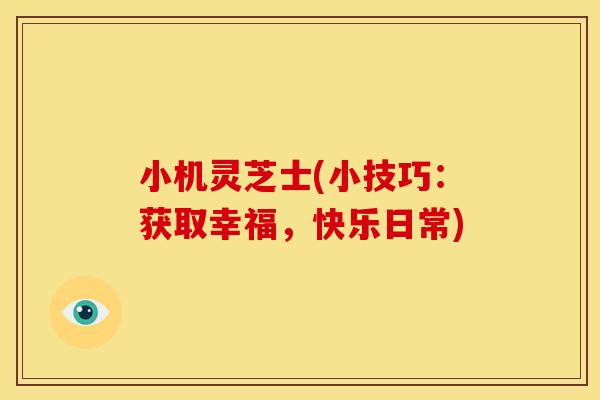 小机灵芝士(小技巧:获取幸福,快乐日常)