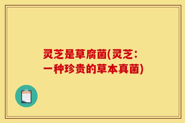 灵芝是草腐菌(灵芝:一种珍贵的草本真菌)