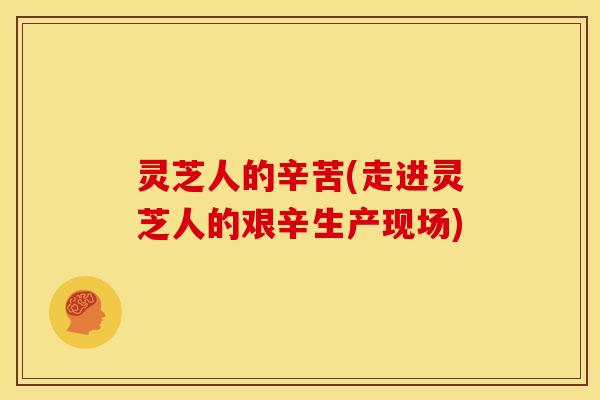 灵芝人的辛苦(走进灵芝人的艰辛生产现场)