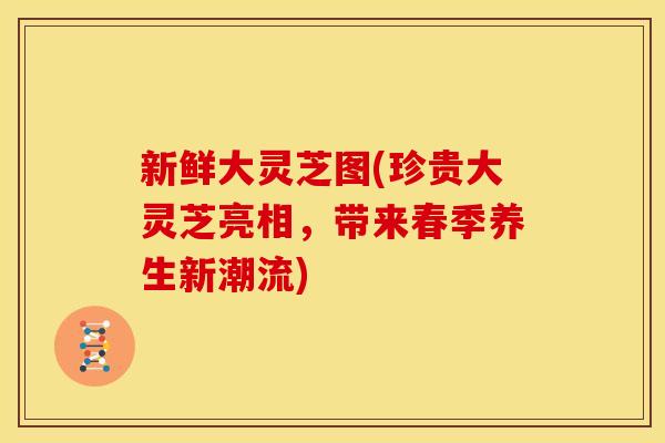 新鲜大灵芝图(珍贵大灵芝亮相,带来春季养生新潮流)