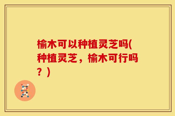 榆木可以种植灵芝吗(种植灵芝,榆木可行吗?)