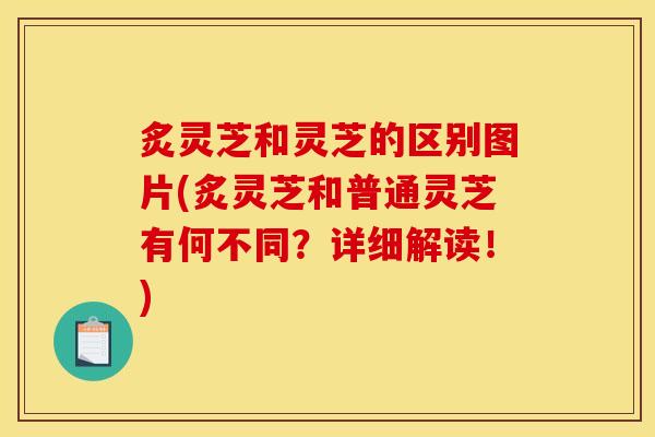 炙灵芝和灵芝的区别图片(炙灵芝和普通灵芝有何不同？详细解读！)