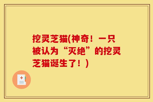 挖灵芝猫(神奇!一只被认为“灭绝”的挖灵芝猫诞生了!)