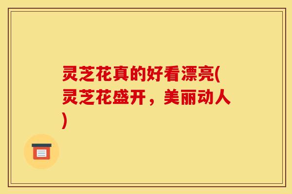 灵芝花真的好看漂亮(灵芝花盛开,美丽动人)