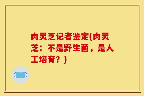 肉灵芝记者鉴定(肉灵芝:不是野生菌,是人工培育?)
