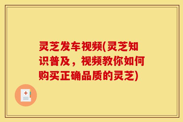 灵芝发车视频(灵芝知识普及，视频教你如何购买正确品质的灵芝)