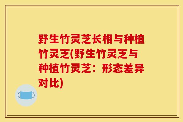 野生竹灵芝长相与种植竹灵芝(野生竹灵芝与种植竹灵芝:形态差异对比)