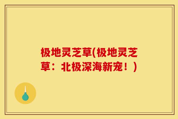 极地灵芝草(极地灵芝草:北极深海新宠!)