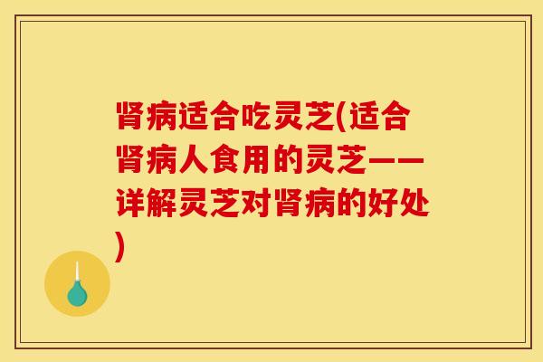 肾病适合吃灵芝(适合肾病人食用的灵芝——详解灵芝对肾病的好处)