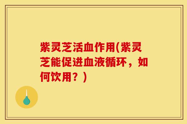紫灵芝活血作用(紫灵芝能促进血液循环,如何饮用?)