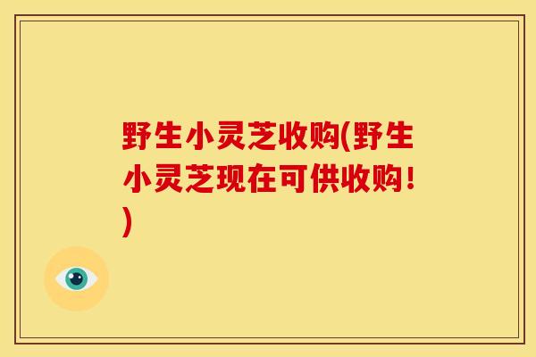 野生小灵芝收购(野生小灵芝现在可供收购！)