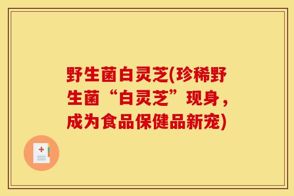 野生菌白灵芝(珍稀野生菌“白灵芝”现身，成为食品保健品新宠)