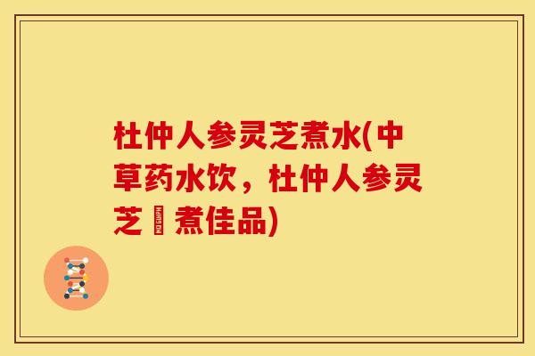 杜仲人参灵芝煮水(中草药水饮,杜仲人参灵芝濃煮佳品)