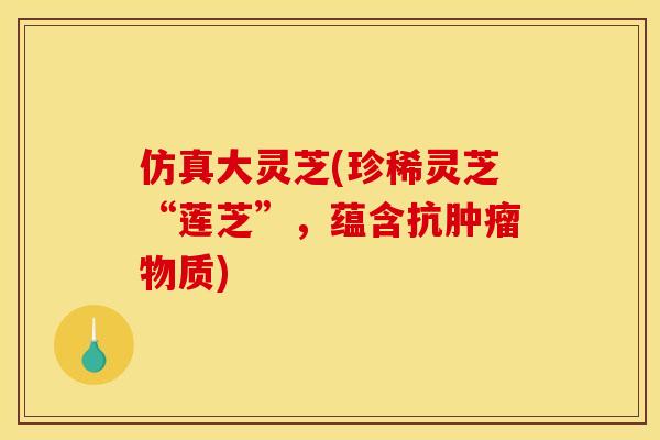 仿真大灵芝(珍稀灵芝“莲芝”，蕴含抗肿瘤物质)
