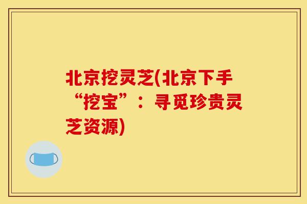 北京挖灵芝(北京下手“挖宝”：寻觅珍贵灵芝资源)