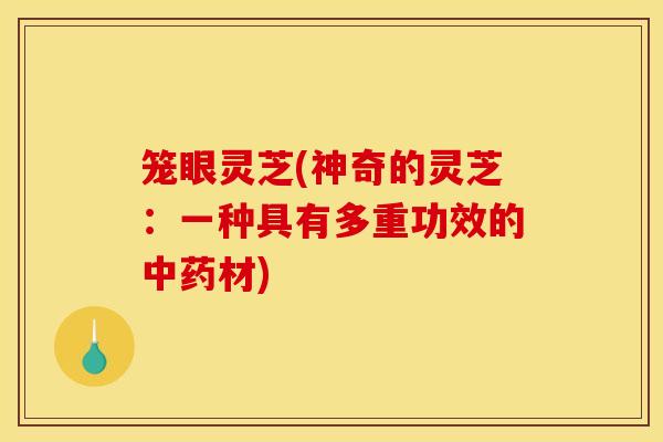 笼眼灵芝(神奇的灵芝:一种具有多重功效的中药材)