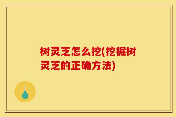 树灵芝怎么挖(挖掘树灵芝的正确方法)