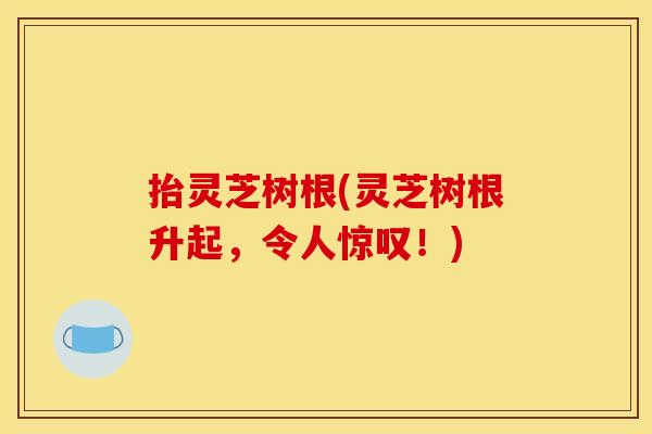 抬灵芝树根(灵芝树根升起，令人惊叹！)