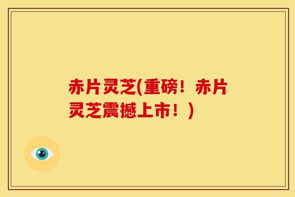 赤片灵芝(重磅!赤片灵芝震撼上市!)