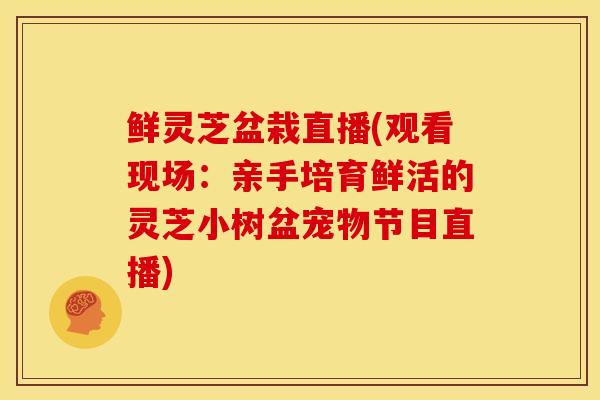 鲜灵芝盆栽直播(观看现场:亲手培育鲜活的灵芝小树盆宠物节目直播)