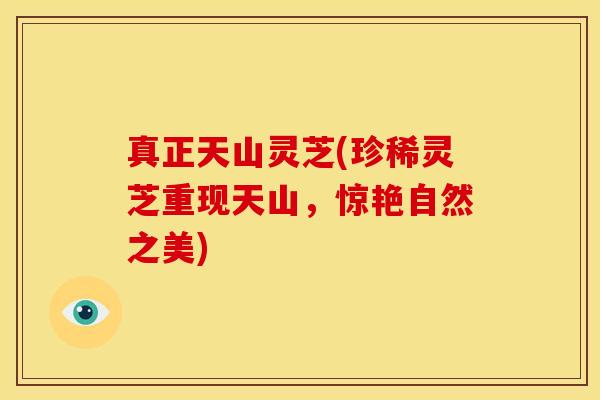 真正天山灵芝(珍稀灵芝重现天山,惊艳自然之美)