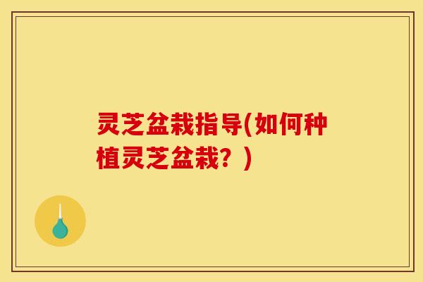 灵芝盆栽指导(如何种植灵芝盆栽？)