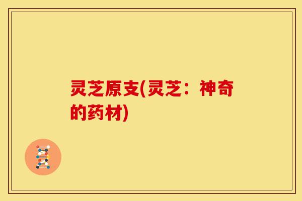 灵芝原支(灵芝：神奇的药材)