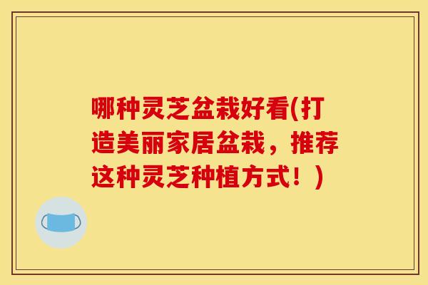 哪种灵芝盆栽好看(打造美丽家居盆栽，推荐这种灵芝种植方式！)