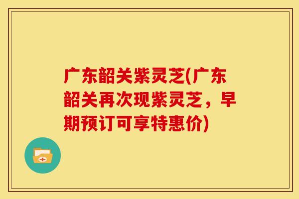 广东韶关紫灵芝(广东韶关再次现紫灵芝,早期预订可享特惠价)