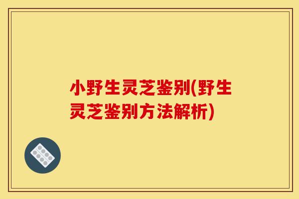 小野生灵芝鉴别(野生灵芝鉴别方法解析)