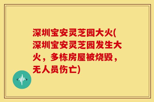 深圳宝安灵芝园大火(深圳宝安灵芝园发生大火,多栋房屋被烧毁,无人员伤亡)