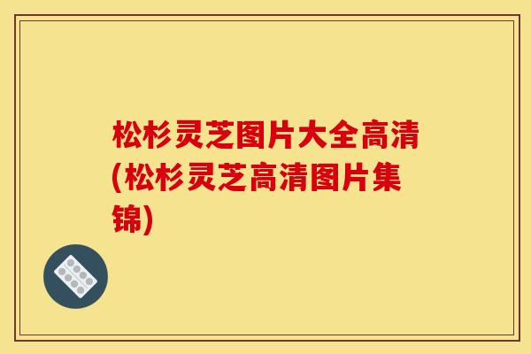 松杉灵芝图片大全高清(松杉灵芝高清图片集锦)