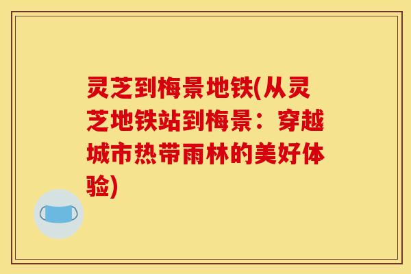 灵芝到梅景地铁(从灵芝地铁站到梅景:穿越城市热带雨林的美好体验)