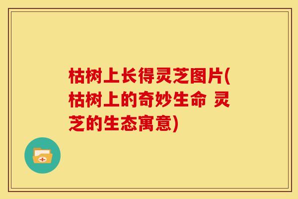 枯树上长得灵芝图片(枯树上的奇妙生命 灵芝的生态寓意)