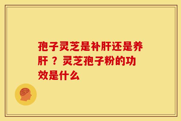 孢子灵芝是补肝还是养肝 ?灵芝孢子粉的功效是什么