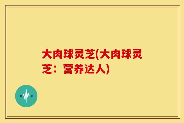 大肉球灵芝(大肉球灵芝:营养达人)
