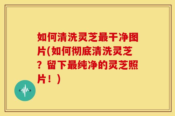 如何清洗灵芝最干净图片(如何彻底清洗灵芝？留下最纯净的灵芝照片！)