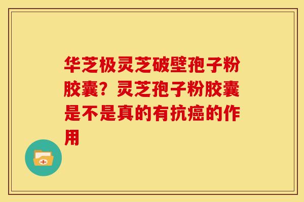 华芝极灵芝破壁孢子粉胶囊?灵芝孢子粉胶囊是不是真的有抗癌的作用