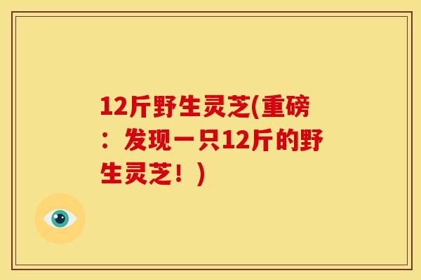12斤野生灵芝(重磅：发现一只12斤的野生灵芝！)