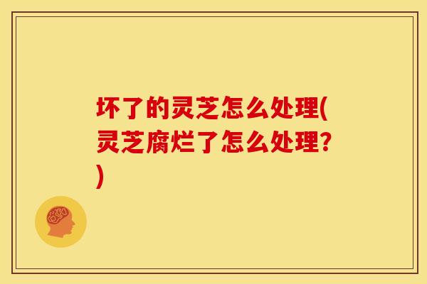 坏了的灵芝怎么处理(灵芝腐烂了怎么处理?)