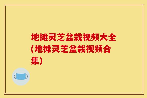 地摊灵芝盆栽视频大全(地摊灵芝盆栽视频合集)