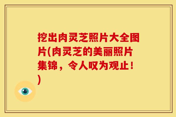 挖出肉灵芝照片大全图片(肉灵芝的美丽照片集锦,令人叹为观止!)