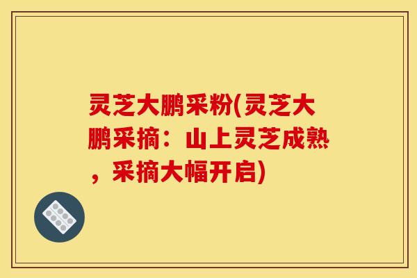 灵芝大鹏采粉(灵芝大鹏采摘:山上灵芝成熟,采摘大幅开启)